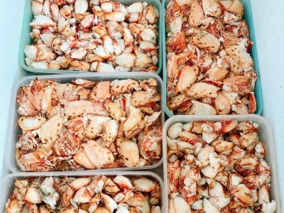 THỊT CUA TƯƠI VÀ THỊT CUA ĐÔNG LẠNH LOẠI NÀO NGON HƠN?