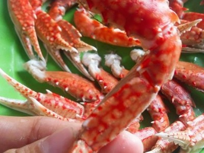 MUA CÀNG GHẸ TƯƠI Ở ĐÂU SẠCH VÀ AN TOÀN?