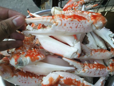CÀNG GHẸ TƯƠI GIAO SỈ TOÀN QUỐC