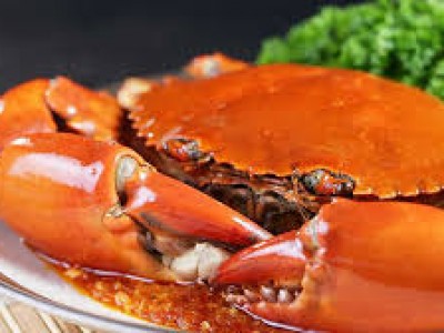 CHUYÊN SỈ THỊT CUA MÙA DỊCH TOÀN QUỐC