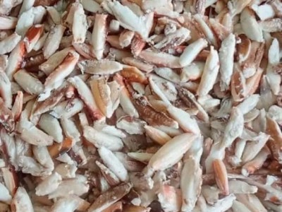 THỊT CÀNG GHẸ XANH - KHỞI ĐẦU MÙA MƯA
